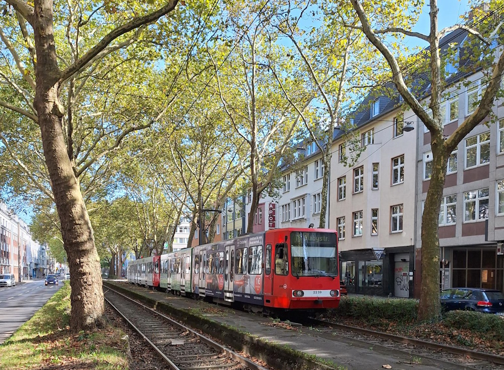 Bestand: Köln.jpg
