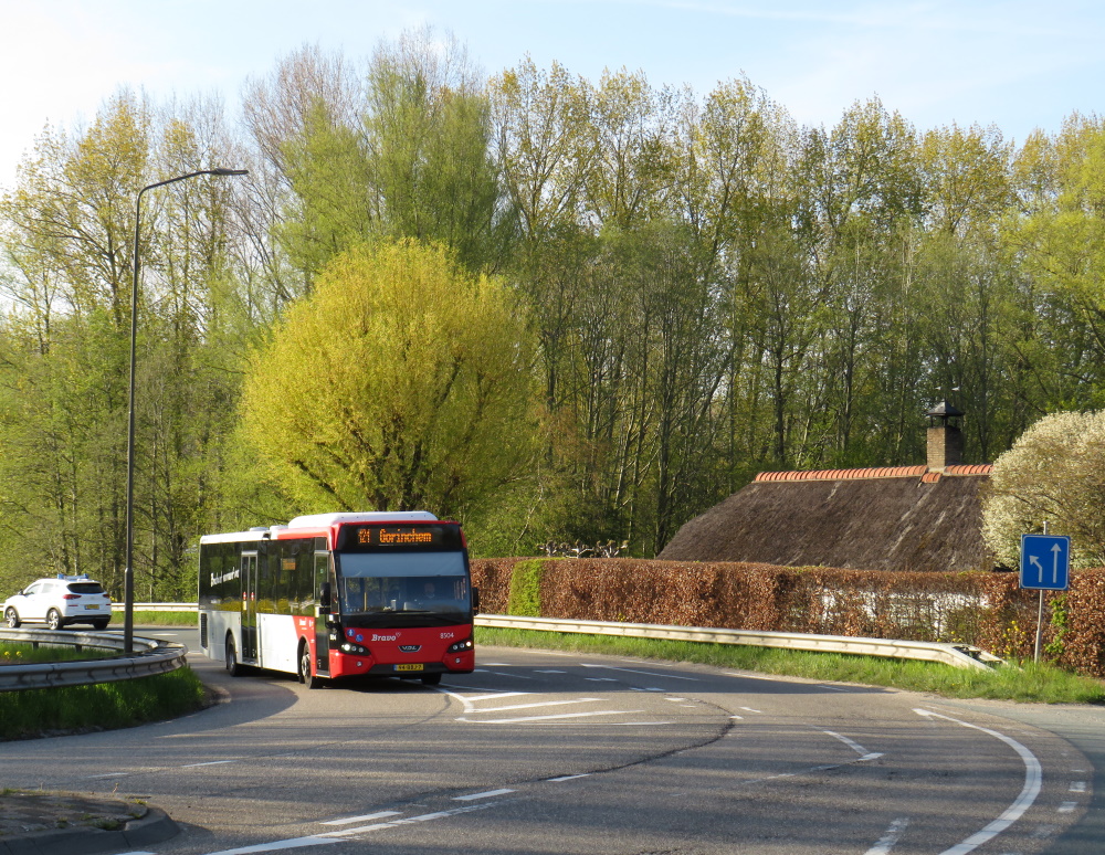 Bestand: Sleeuwijk.jpg