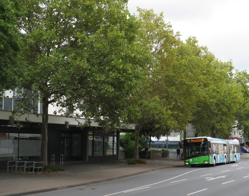 Bestand: Hamm.jpg