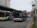 Lijn 81 Marius Renard (Brussel Zuid) MBsolo1.jpeg