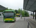 Lijn 976 Oberhausen.jpg