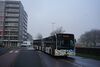 2604-9.jpg