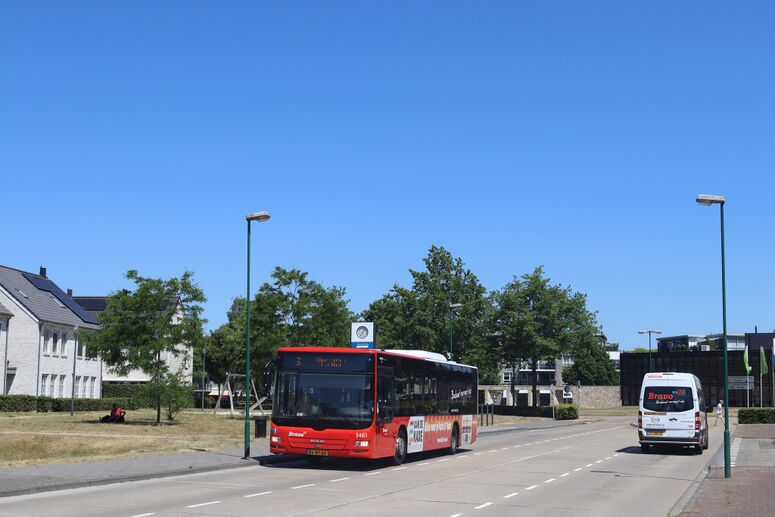 Bestand:3461-6.jpg