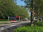 Citea Mollaan.jpg