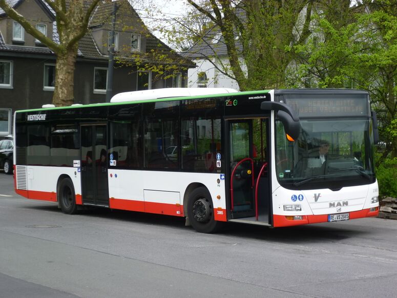 Bestand:Lijn 211 Gelsenkirchen.jpg