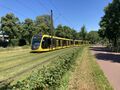 Miniatuurafbeelding voor de versie van 8 jul 2022 om 14:51