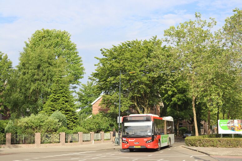 Bestand:8167-5.jpg
