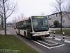 654-49.jpg