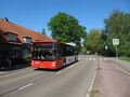 3463 7.jpg