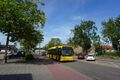 5025-125.jpg