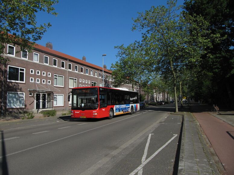 Bestand:3447 12.jpg