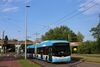 5245-2.jpg