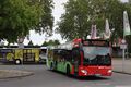 Miniatuurafbeelding voor de versie van 17 aug 2023 om 19:51