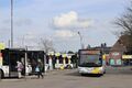 039034-429.jpg
