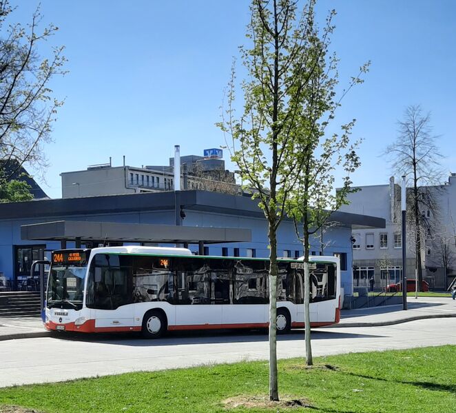 Bestand:Lijn 244 Gelsenkirchen.jpg