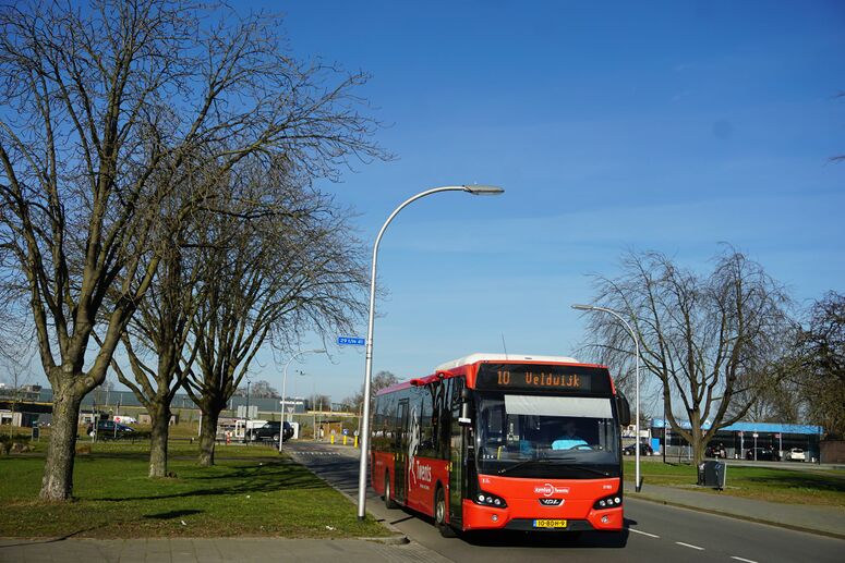 Bestand:3183-10.jpg