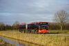 9369-300.jpg