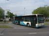 TCR 91.JPG