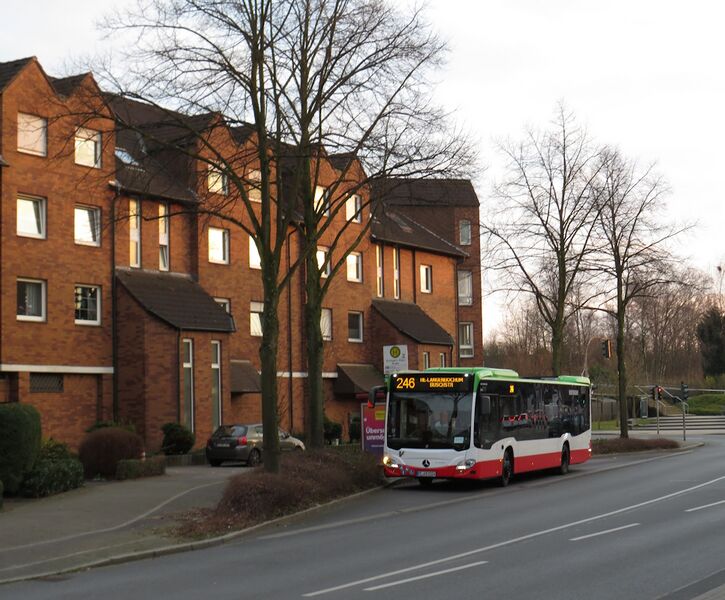 Bestand:Lijn 246 Herten 2.jpg