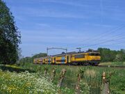 DDAR 1700.jpg