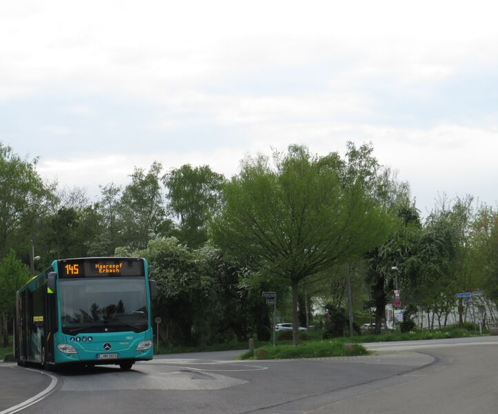 Bestand:Lijn 145 Essen.jpg
