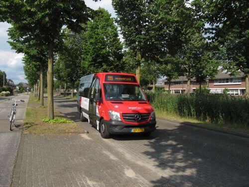 49420 999.jpg