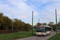 222351-85.jpg