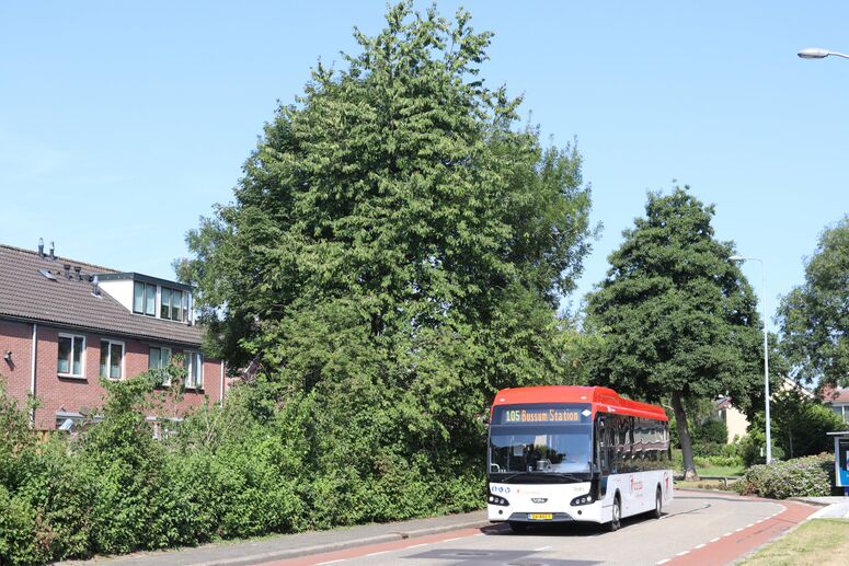 Bestand:7685-105.jpg