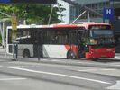 TCR 561 Ledn.JPG