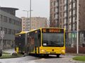 Miniatuurafbeelding voor de versie van 19 dec 2024 om 05:40