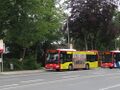 Miniatuurafbeelding voor de versie van 13 jul 2021 om 19:30