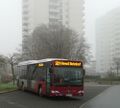 Miniatuurafbeelding voor de versie van 30 jan 2021 om 17:56