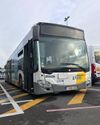 303838.jpg