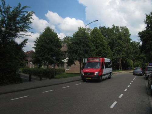 49416 21.jpg