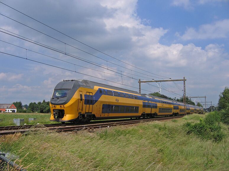 Bestand:VIRM-VI Dieren.jpg