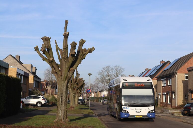 Bestand:9704-9.jpg