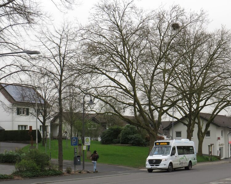 Bestand:Lijn 576 Much.jpg