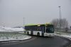 517-160.jpg