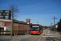 3165-2.jpg