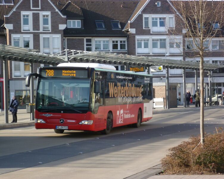 Bestand:Lijn 788 Monheim.jpg