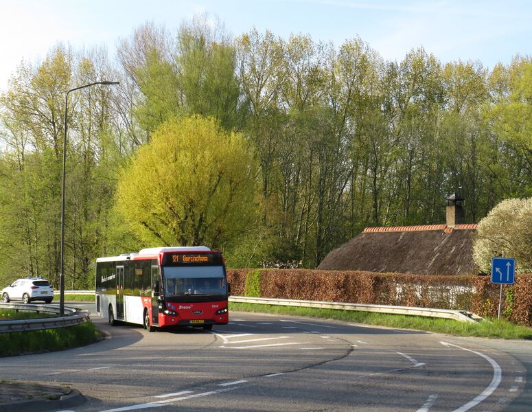 Bestand:Lijn 121 Sleeuwijk.jpg