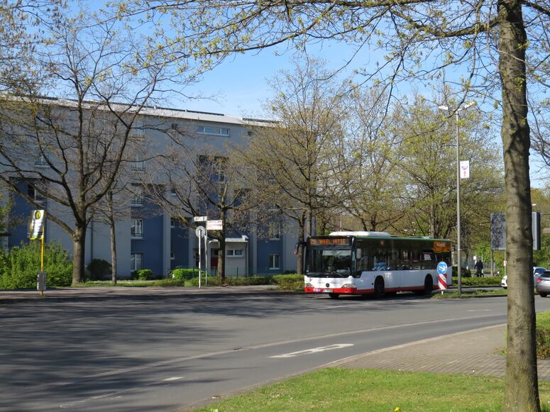 Bestand:Lijn 219 Marl.jpg