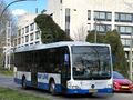 Miniatuurafbeelding voor de versie van 21 dec 2024 om 01:40