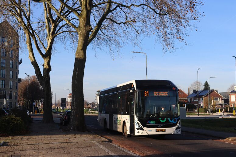 Bestand:4903-81.jpg