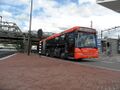 1023-301.jpg