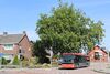 6501-491.jpg