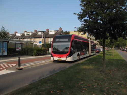 9524 402.jpg
